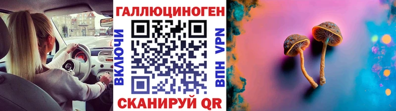 Псилоцибиновые грибы GOLDEN TEACHER  магазин продажи   Белоярский 